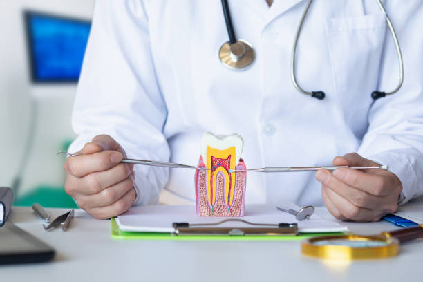 Best Root Canal Emergency Dentist  in Belle, WV